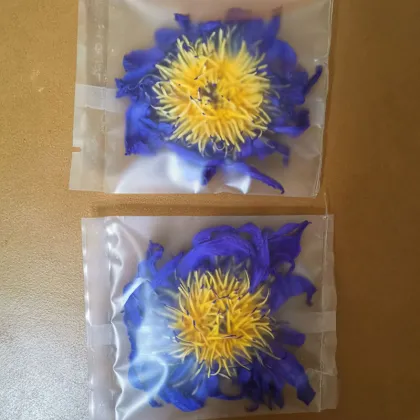 Aromatise Herbe Fait Main Sante Fleur Nenuphar Egyptien Seche Bleu Lotus Sac De Thé De Noel