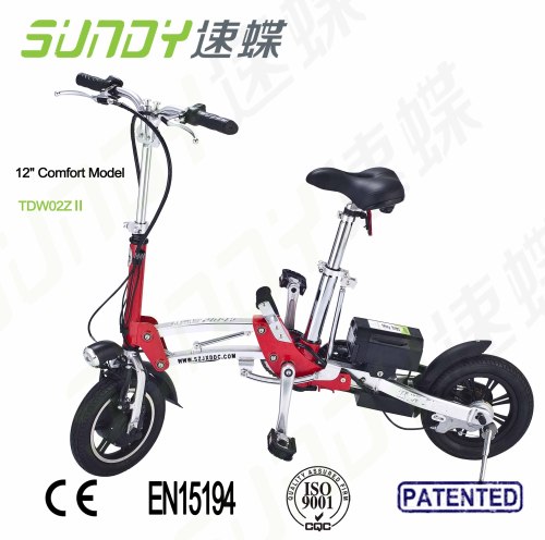 250W High Quality Folding E Bike with Removable Lithium Battery Pack