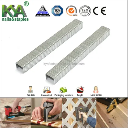 Decorative Duo-Fast 50 Staples: Perfect for Furniture and Interior Design Projects