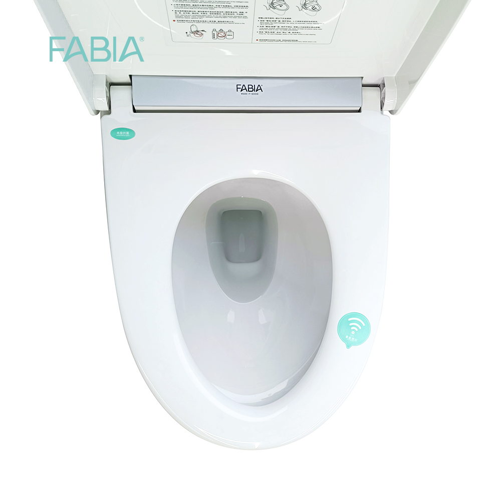 intelligent toilet for home