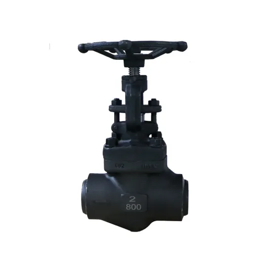 Taike Valve China Factory Socket Weld SW A105  Forged Steel Manual Handwheel Globe Valve