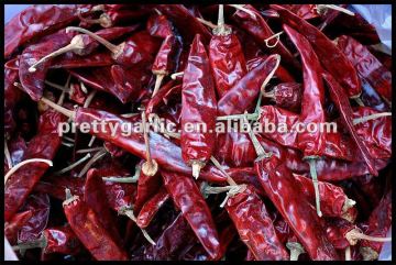 Indian dried chili with stem