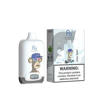 RandM Digital 12000 Puffs Long Lasting Lithuania Wholesale