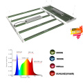 2022 Led Grow Light For Greenhouse