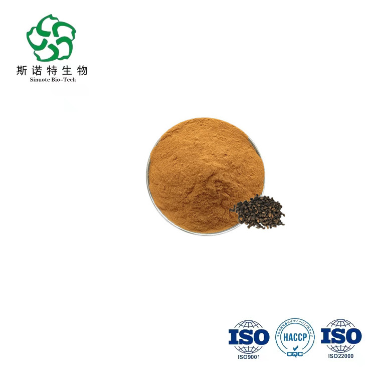 Fermented Soybean Extract Bacillus Subtilis Natto