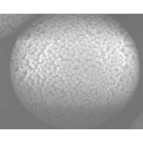Solid Phase Extraction (SPE) NMBPC 50-300