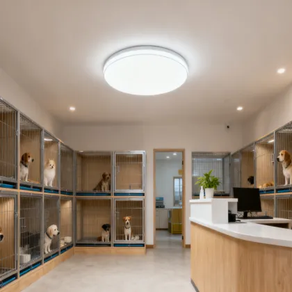 Illuminate Life with Hanghong Lighting