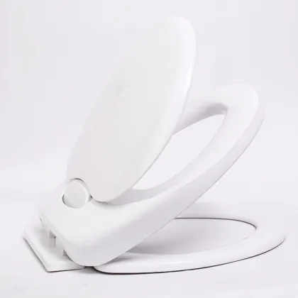 Japanese Smart Toilet Seat Bidet Spray Automatic Intelligent Cover