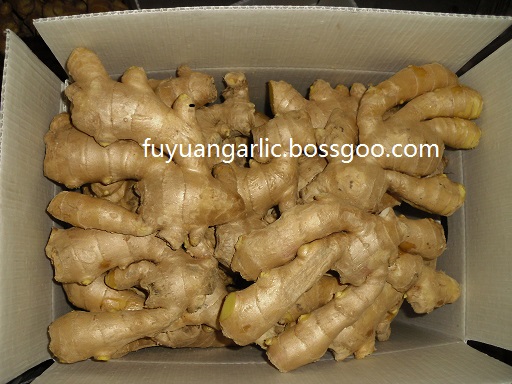 air dried ginger (6)