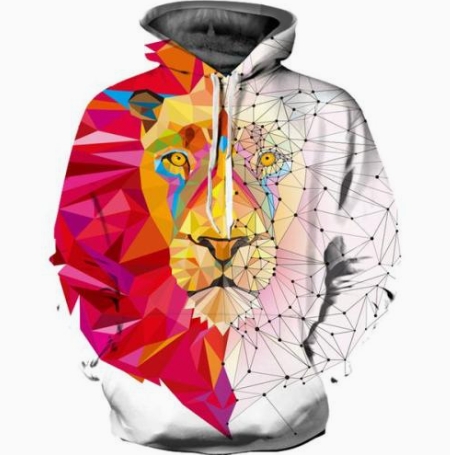 Magical lion drawstring hoodie