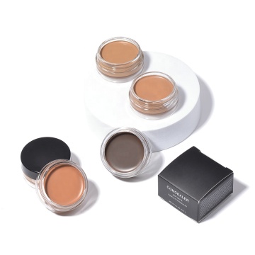 Professionelle dicke Abdeckungscreme Tattoo Concealer für dunkle Flecken und unter Augenringen