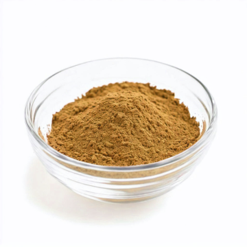 Cynomorium Sgaricum Extract Powder con el mejor precio