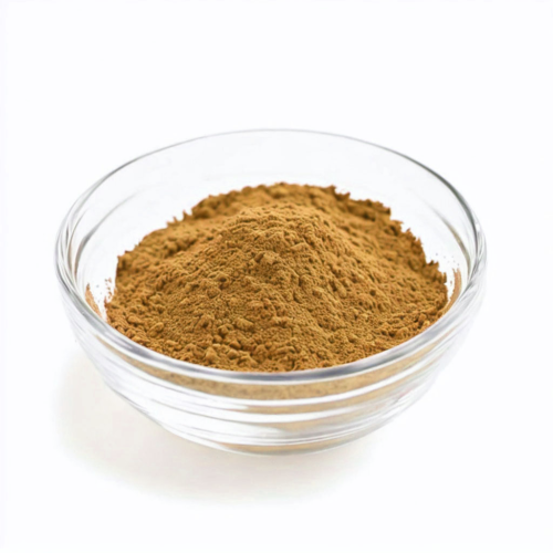 Cynomorium Songaricum Extract Powder With Best Price