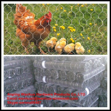 high quality agriculture farming hexagonal chicken wire netting