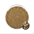 Polygonum Multiflorum Root Extract Powder