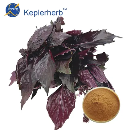 Perilla leaf Extract powder