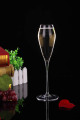 Memimpin Kaca Anggur Kaca Champagne Drinking gratis