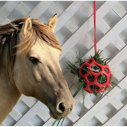 Horse Hay Ball Feeder Toy