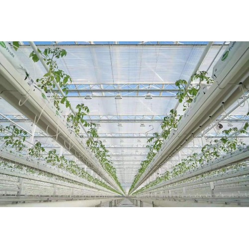 White Fire retardant greenhouse Thermal screen