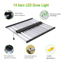 LED UV 800W Grow Light para sistemas de crecimiento