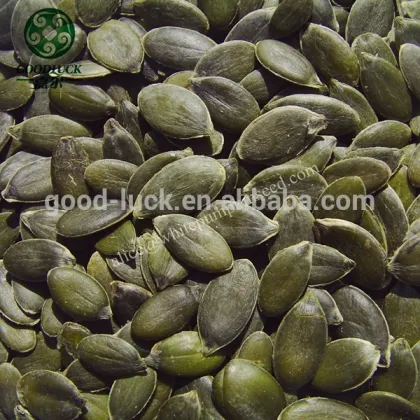 Styrian Type GWS A, AA, AAA Pumpkin Seeds                        
                                                Quality Choice