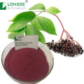 Longze Black Elderberry Fruit Juice Powder
