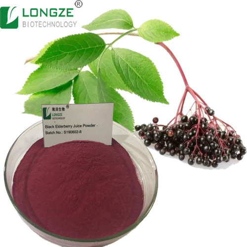 Pure natural Elderberry Fruit Powder Elderberry extract