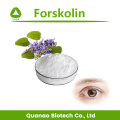 Extrato de Forskolin de Coleus Forskohlii de perda de peso 1% -98%