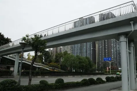 Custom Steel Structure Pedestrian Bridge