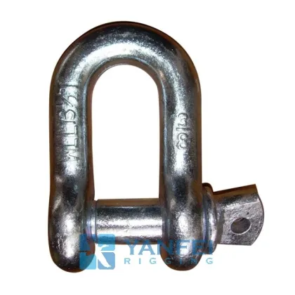 Anchor Chain  Shackle