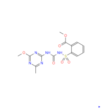 Metsulfuron-Methyl WDG/WP CAS: 74223-64-6 مبيدات الأعشاب الزراعية