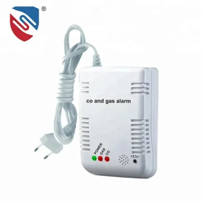 Carbon Monoxide and Gas Alarm
