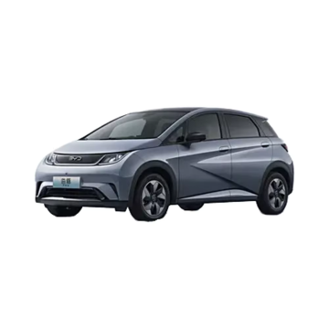 2023 BYD Dolphin Electric Car - Biorlandese a 5 porte