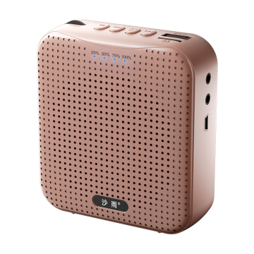 Portable Bluetooth Speaker with Microphone and USB Interface: An Essential Tool for Classroom Teachers