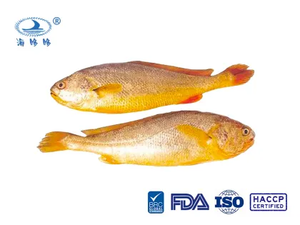 Zhoushan Ecology/deep Sea Large Yellow Croaker