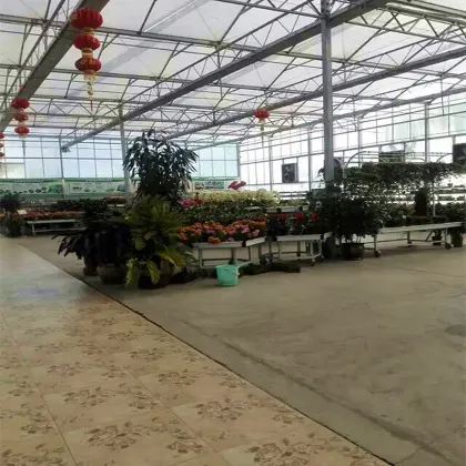 greenhouse agriculture projects