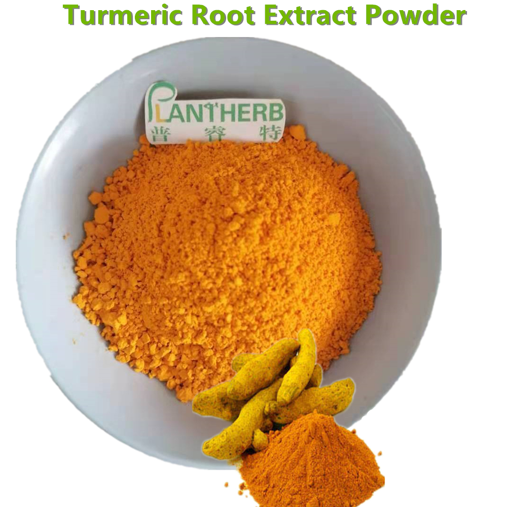 Nano-curcumin Turmeric Extract nano curcumin nano powder