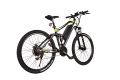 Electric Mountain Bicycle con prezzo di promozione più basso