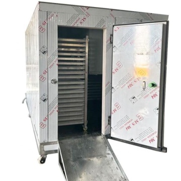 CE Certified 200kg Instant Quick Freezer Cabinet Blast Freezer Machine for Potato Frozen French Fries PLC Controlled Industrial