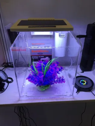 Acrylic fish tank bowl aquarium square quadrate fish tank mini fish tank