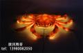 Lumières de crabe imperméables extérieures