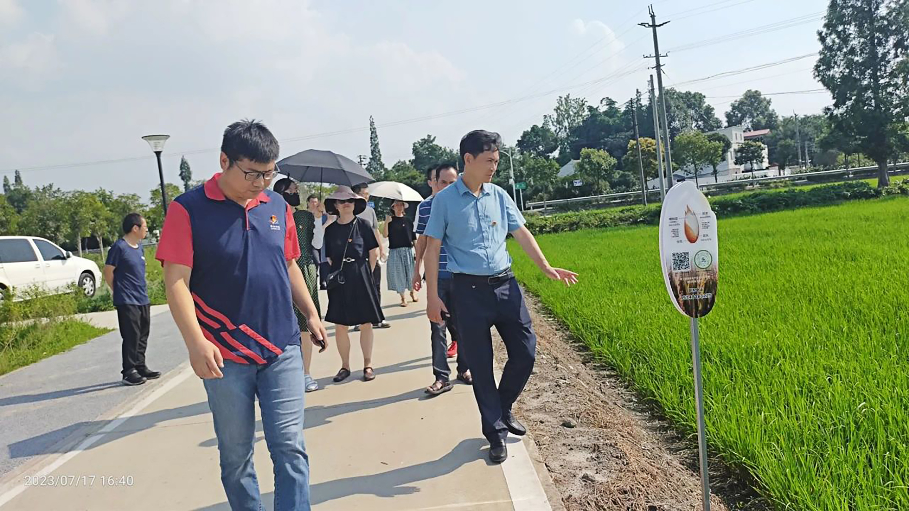 Pollution-free rice planting base