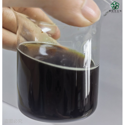 Natural Inonotus Obliquus Extract Powder