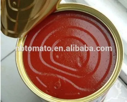 70G China Factory Hot Sell Nature Canned Tomato Paste