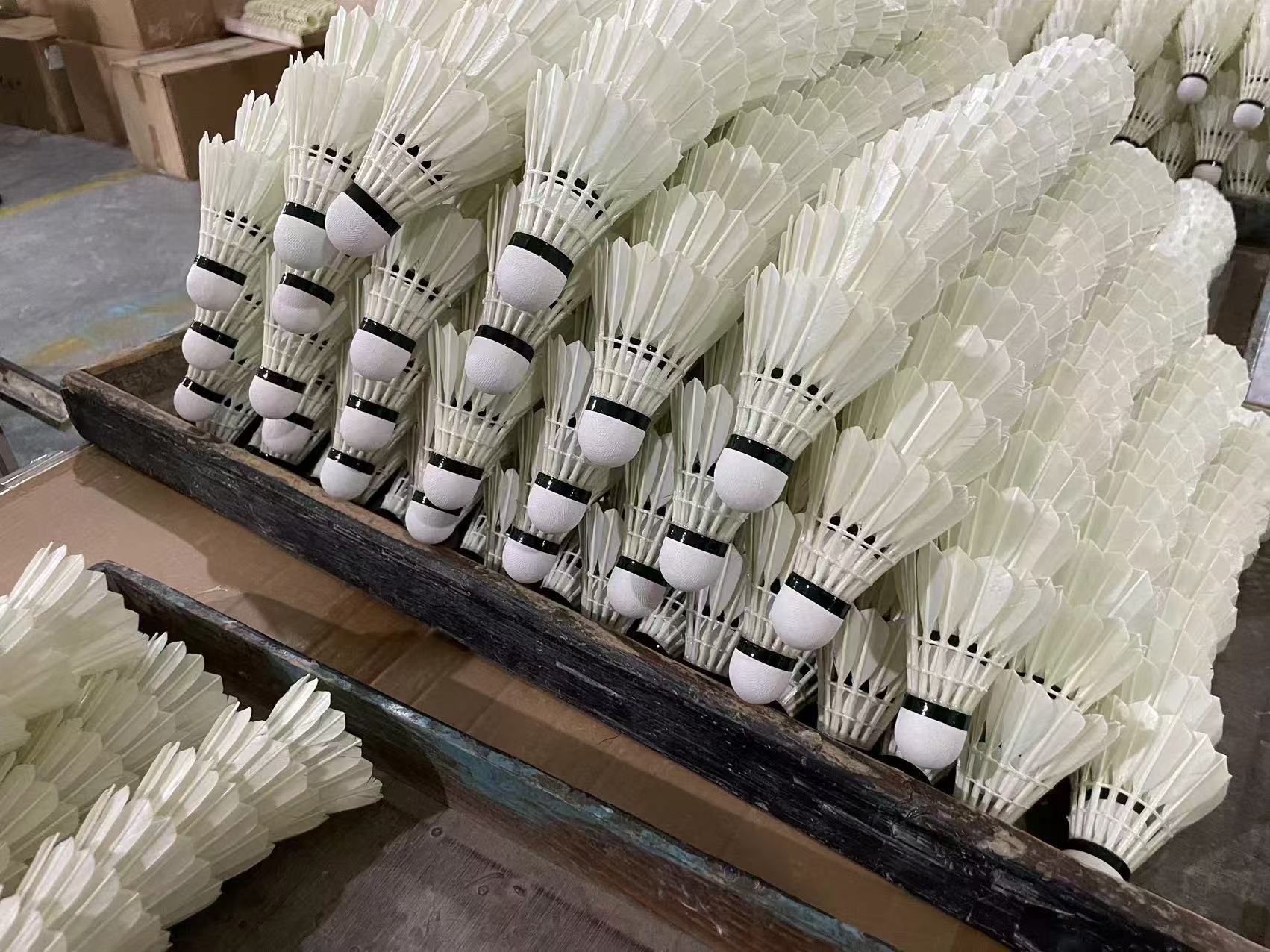 badminton Shuttlecock