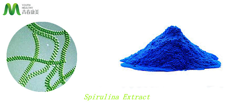 Organic Blue Spirulina Phycocyanin Powder