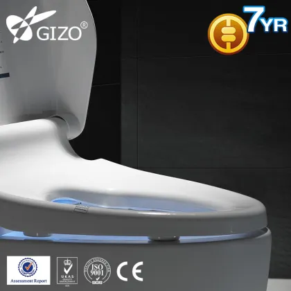 Auto Lid S-trap One Piece Toilet