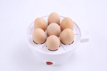 Multifunction Household Mini Eggs Boiler Steamer Cooker