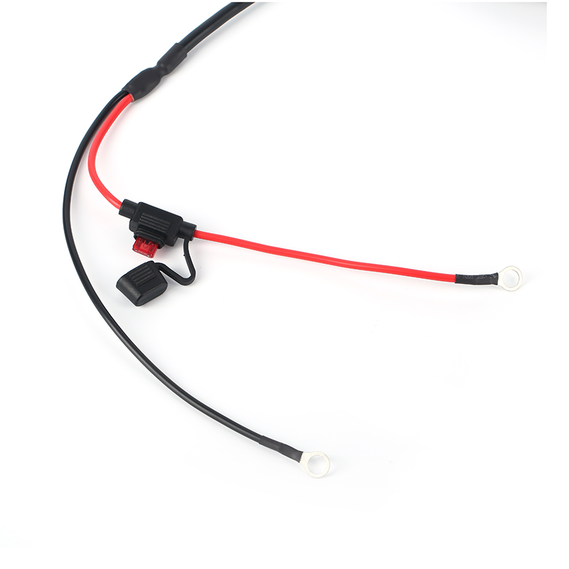 RP1226 Cable assy