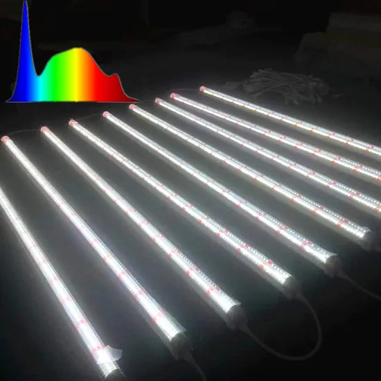 7Magic LED Grow Light: Versatile Hydroponic Lighting for Lettuce and Strawberry Cultivation